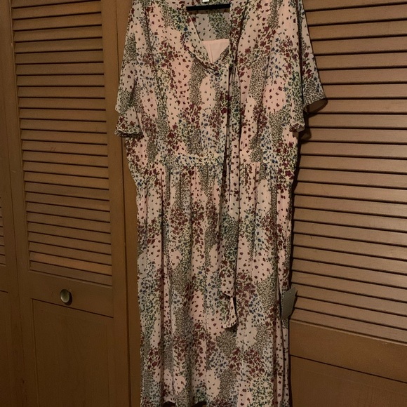 Gorgeous 1901 pink floral dress - 2X, NWT - Picture 2 of 5